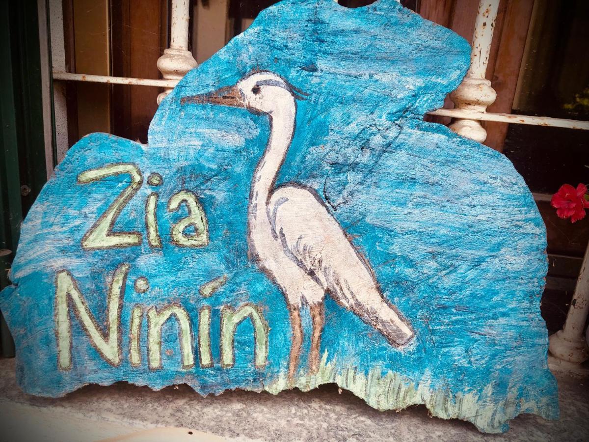Appartamento Zia Ninin - La Gioia Di Un Tempo! Pavia Bagian luar foto